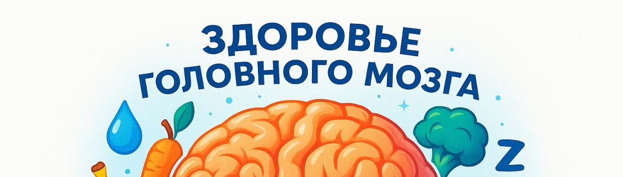 ❗️Головной мозг — главный орган центральной нервной системы человека.